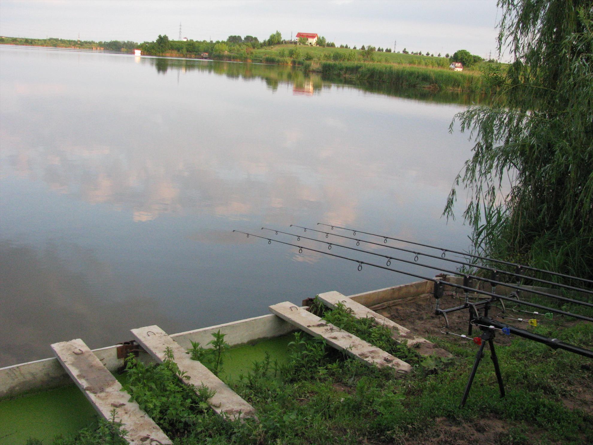 Poze 19-21.05.2012 Tancabesti Avicola 2 - img0172.JPG